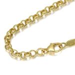 Chaumet ショーメ ネックレス チェーン K18YG