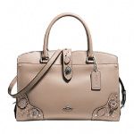 Coach コーチ サッチェル 30 ウィズ ペインテッド ティー ローズ