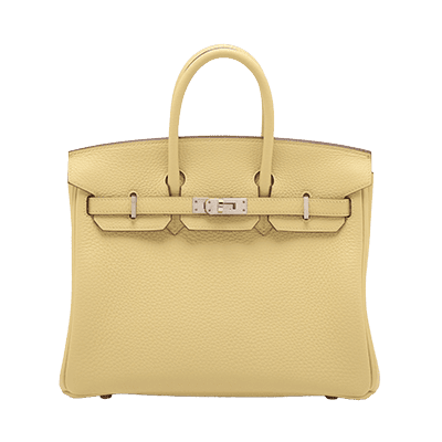 エルメス バーキン25 トゴ ジョーヌプッサン シルバー